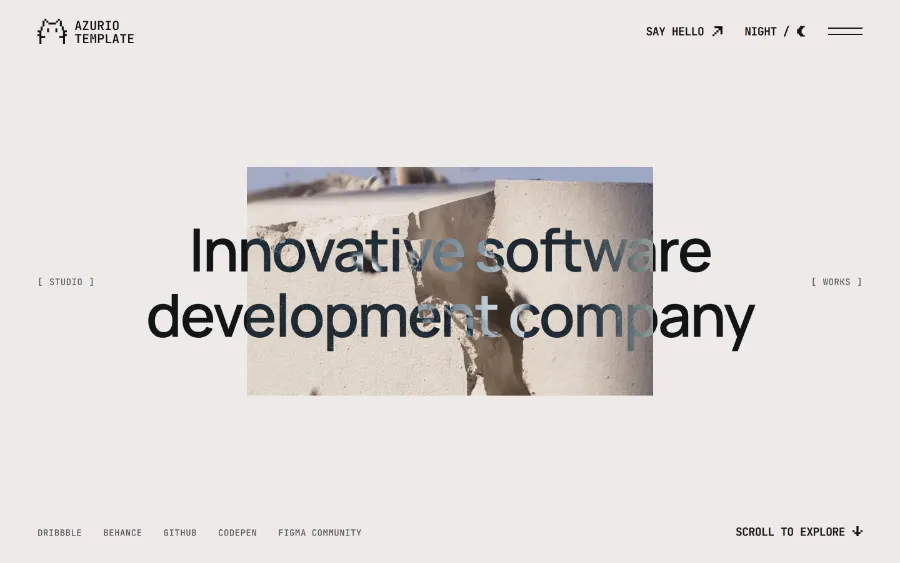 Software development